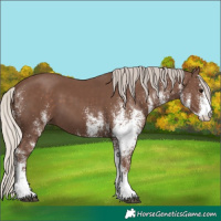 Horse Color:White Spotted Silver Black 