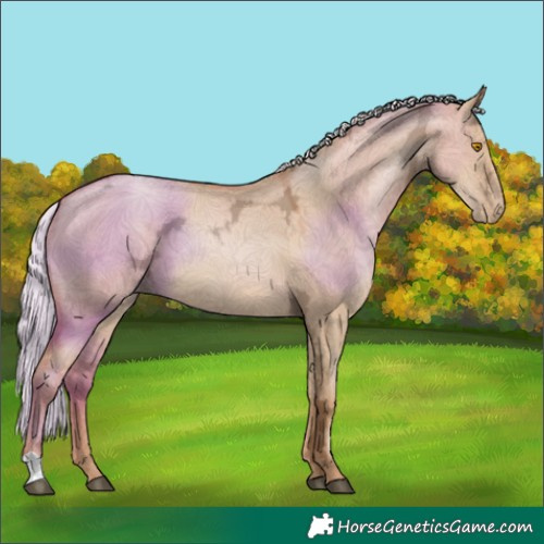 Horse Color:Silver Grullo Ice Pearl 