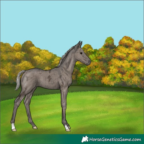 Horse Color:Silver Grullo Ice Brindle 