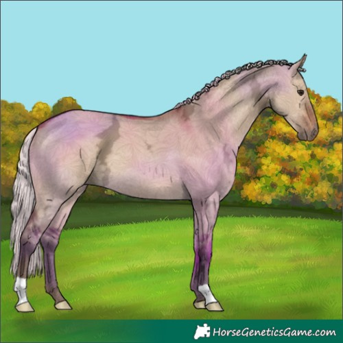 Horse Color:Silver Brown Ice Dun 