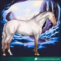 Horse Color:Silver Brown Roan Pearl Dun