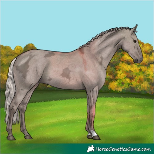 Horse Color:Silver Grullo Ice 