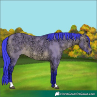 Horse Color:Watercolor Bay Ice Dun 