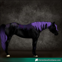 Horse Color:Void Watercolor White Spotted Midnight Black Splash 