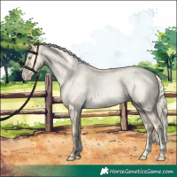 Horse Color:Palomino Roan Pearl  and Palomino Roan Pearl 