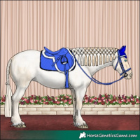 Horse Color:Palomino Roan Pearl  and Buckskin Roan Pearl 