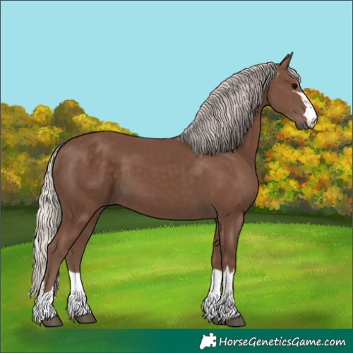 Horse Color:Silver Black 