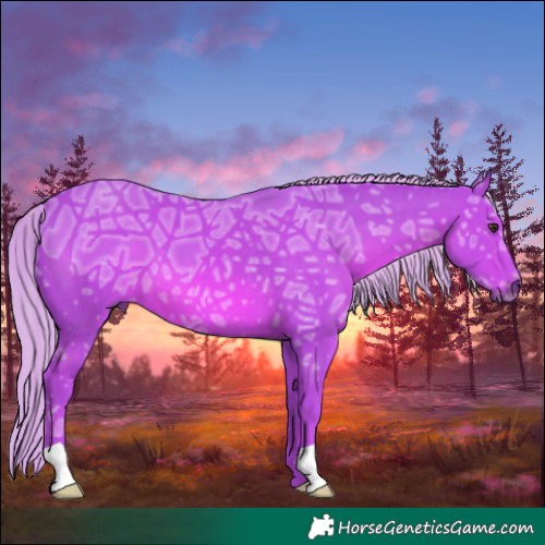 Horse Color:Watercolor Chestnut Ice 