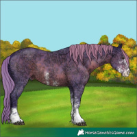 Horse Color:Watercolor Liver Chestnut Ice Sabino 