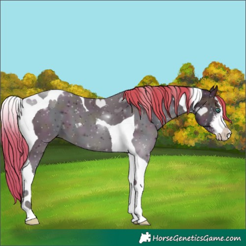 Horse Color:White Spotted Midnight Smoky Black Ice Pearl Tobiano