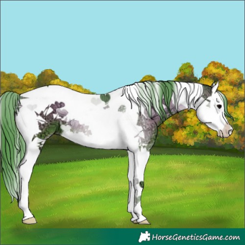 Horse Color:Watercolor Blue Onyx Ice Splash Tobiano