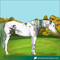 Horse Color:Watercolor Blue Onyx Ice Splash Tobiano 