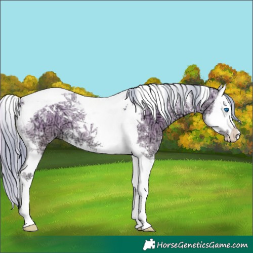 Horse Color:Watercolor White Spotted Smoky Blue Onyx Ice Pearl Splash Tobiano