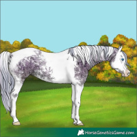 Horse Color:Watercolor White Spotted Smoky Blue Onyx Ice Pearl Splash Tobiano 