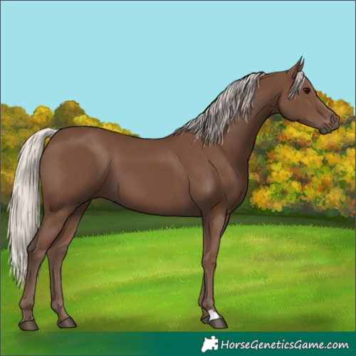 Horse Color:Silver Black 