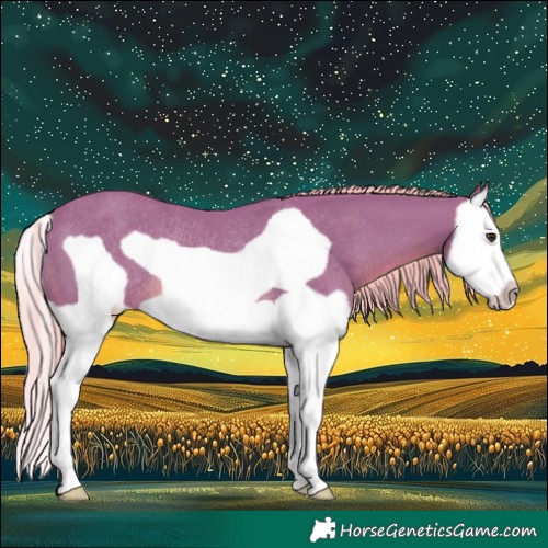 Horse Color:Watercolor Chestnut Splash Frame Rabicano 