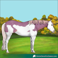 Horse Color:Watercolor Chestnut Splash Frame Rabicano 