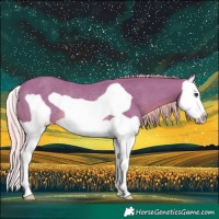 Horse Color:Watercolor Chestnut Splash Frame Rabicano