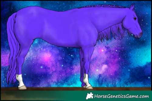 Horse Color:Watercolor Black 
