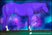 Horse Color:Watercolor Black