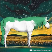 Horse Color:Watercolor White Spotted Black Frame 