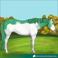 Horse Color:Watercolor White Spotted Black Frame