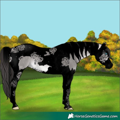 Horse Color:Void Platinum Buckskin Dun Splash Tobiano