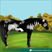 Horse Color:Void Platinum Buckskin Dun Splash Tobiano 