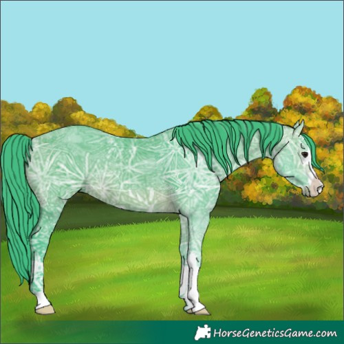 Horse Color:Watercolor Brown Ice 