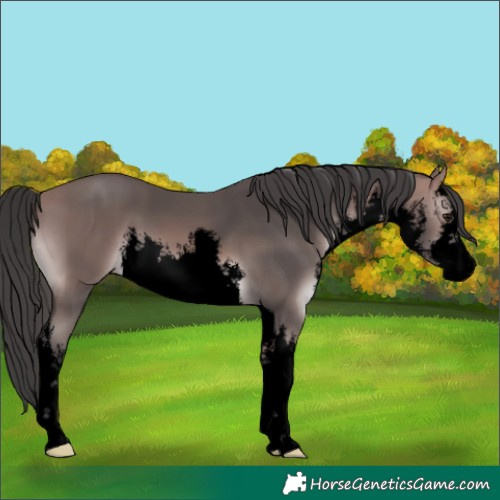 Horse Color:Void Platinum White Spotted Bay 