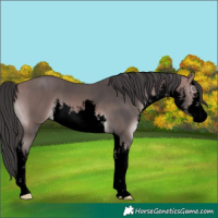 Horse Color:Void Platinum White Spotted Bay 