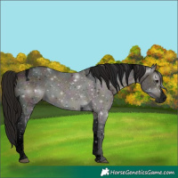 Horse Color:Gray Void White Spotted Midnight Bay Ice Dun Tobiano 