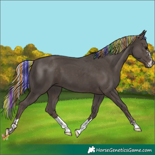 Horse Color:Painted Silver Black 