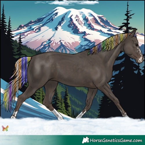 Horse Color:Painted Silver Black 