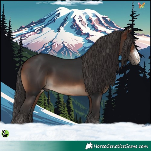 Horse Color:Brown 