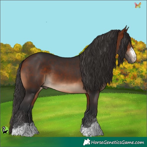 Horse Color:Brown 