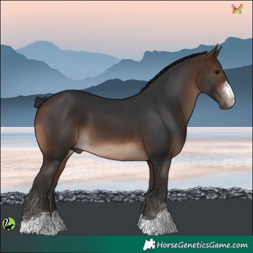 Horse Color:Brown 