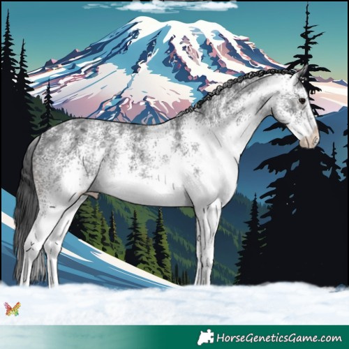 Horse Color:White Spotted Black Ice Rabicano 