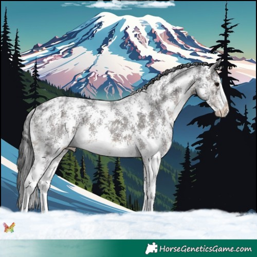 Horse Color:Brown Ice Sabino 