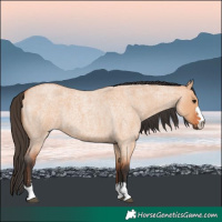 Horse Color:Bay Roan Dun 