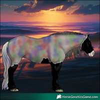 Horse Color:Nacre Grullo Splash