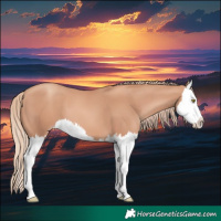 Horse Color:Gold Champagne Splash 