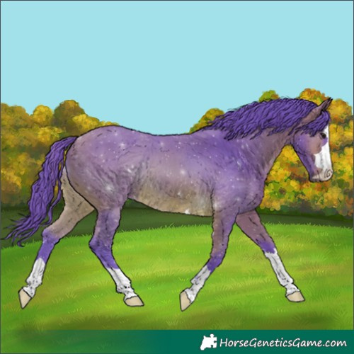 Horse Color:Watercolor Bay