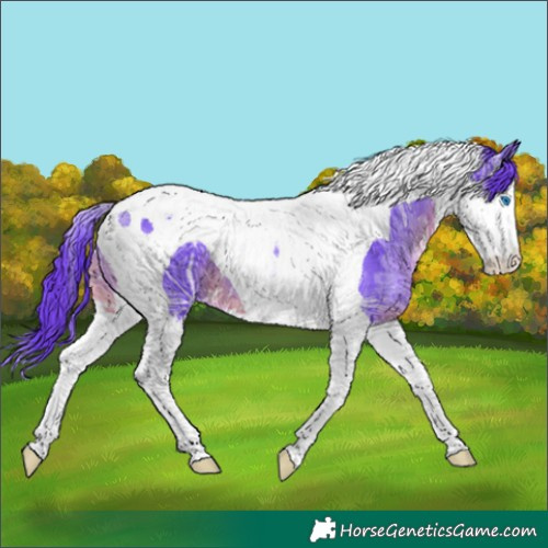 Horse Color:Watercolor White Spotted Black Ice Splash Tobiano 