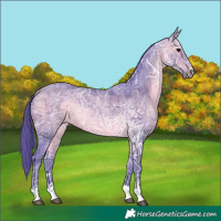 Horse Color:Watercolor Bay Ice