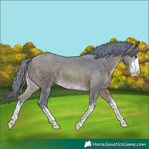 Horse Color:Watercolor White Spotted Brown 