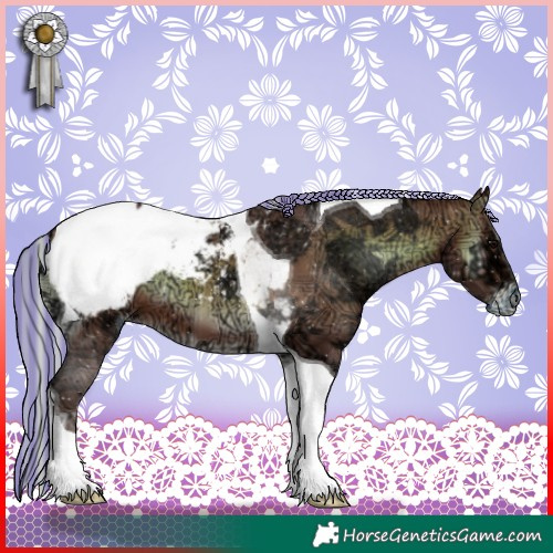 Horse Color:Painted Silver Brown Ice Onyx Tobiano Appaloosa 