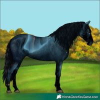 Horse Color:ERROR: UNKNOWN ANOMALY