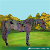Horse Color:Void Nacre White Spotted Brown