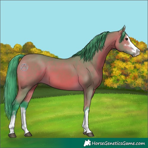 Horse Color:Watercolor Bay